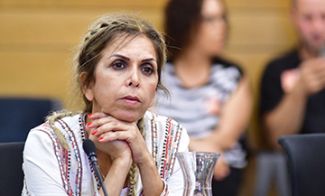 Sara Assolin Testifying 2017