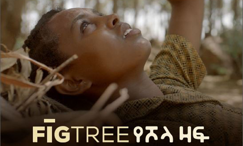 Fig Tree film poster art