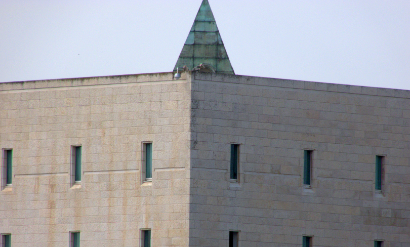 a view of Israel's High Court