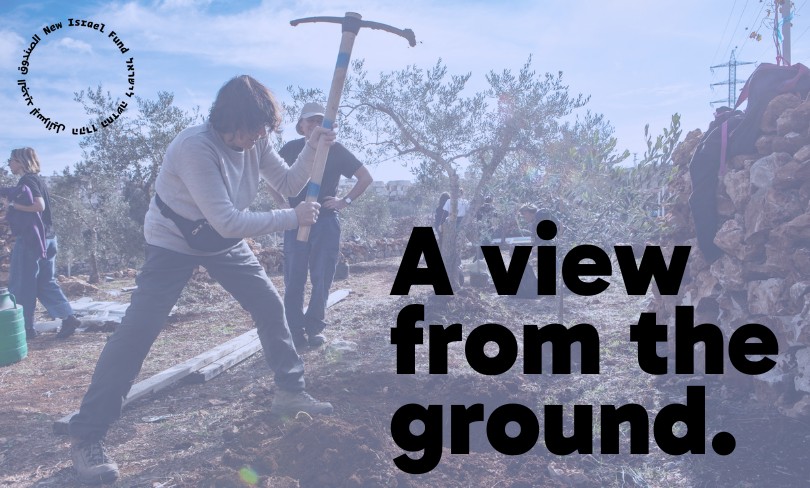 A View from the Ground