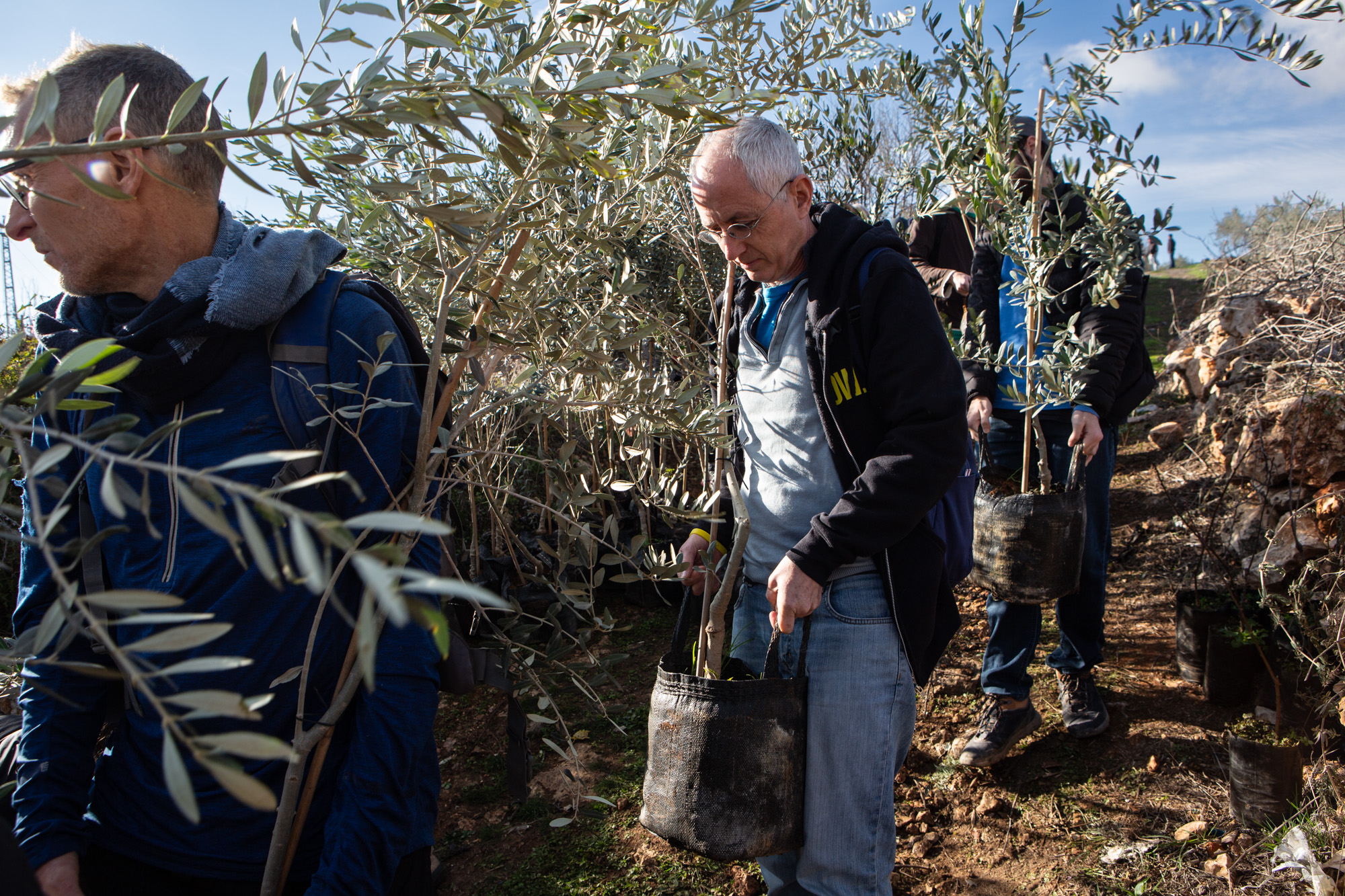 RHR volunteers carrying trees